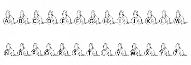 KR A Ferret for Angel 字体 大写