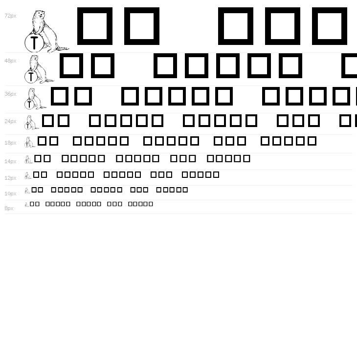 KR A Ferret for Angel Waterfall