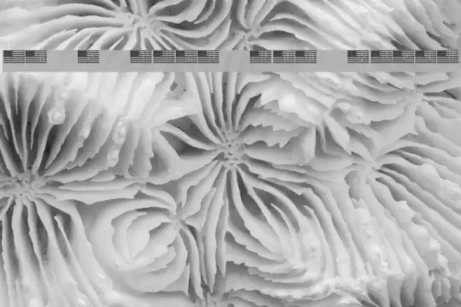 KR A Time For Peace Font examples