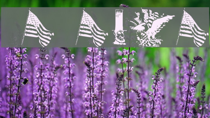 KR All American Font examples