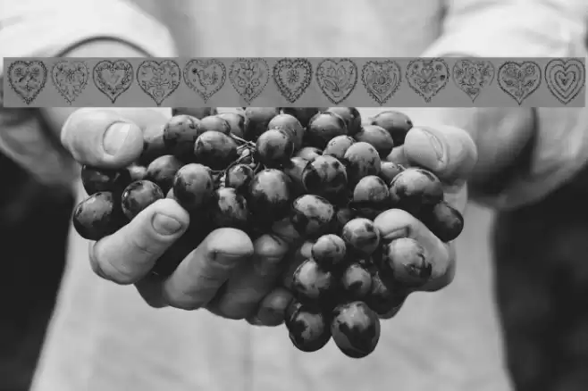 KR All Heart Polices examples