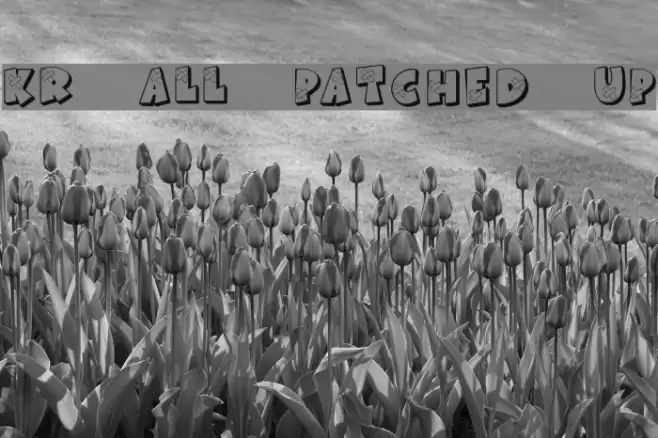 KR All Patched Up Font examples