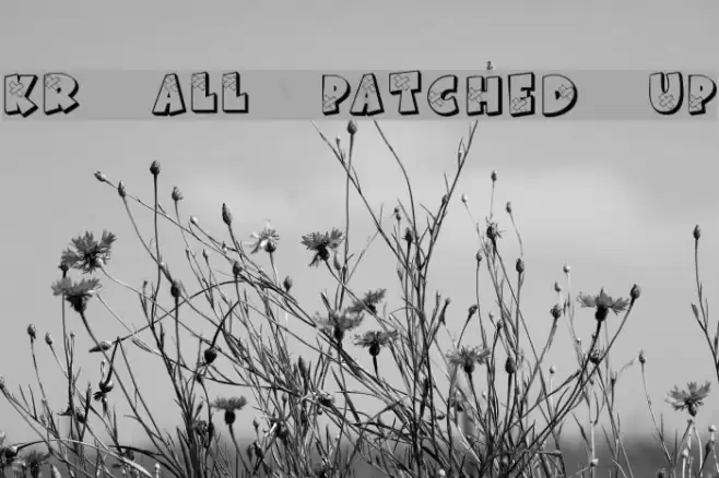 KR All Patched Up Font examples