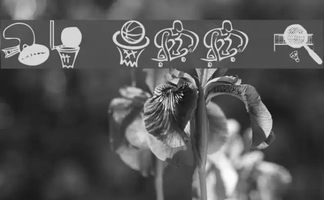 KR All Sport Font examples