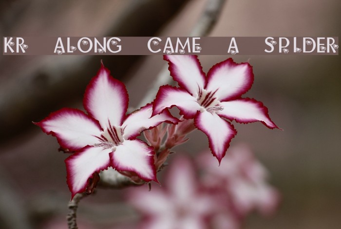 KR Along Came A Spider Font examples
