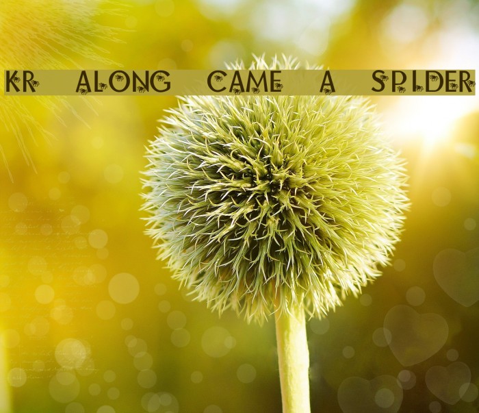 KR Along Came A Spider Example 2