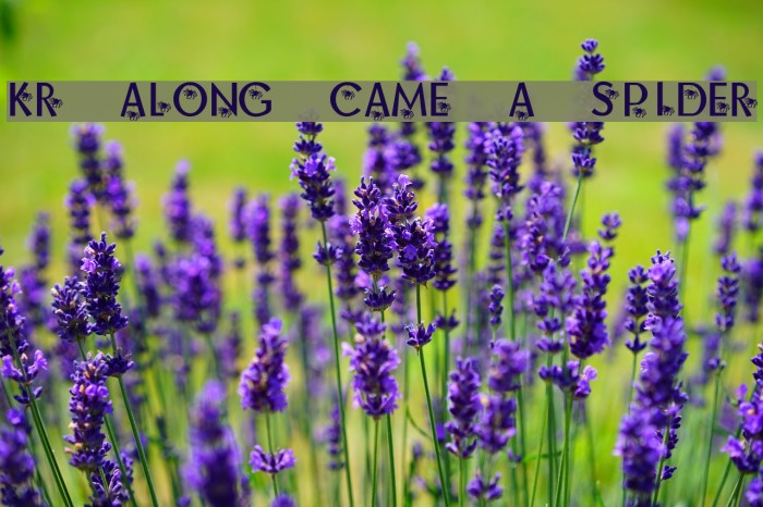 KR Along Came A Spider Example 3