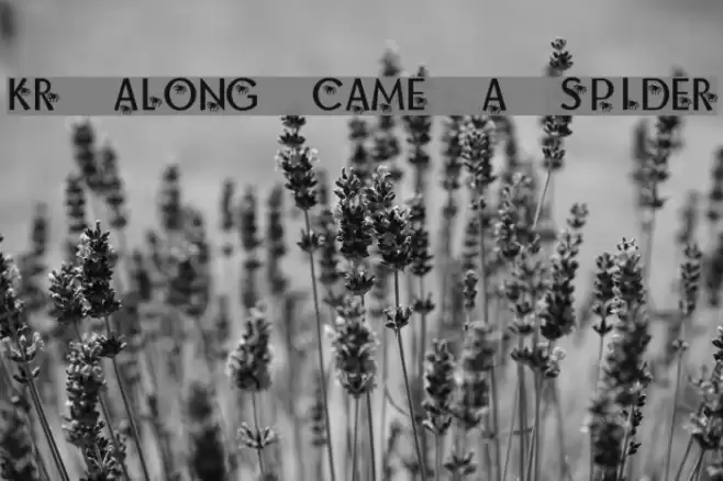 KR Along Came A Spider Font examples