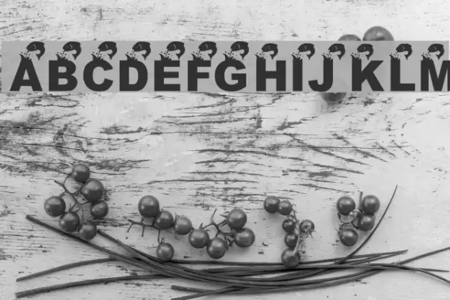 KR Angler Font examples