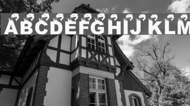 KR Angler Font examples