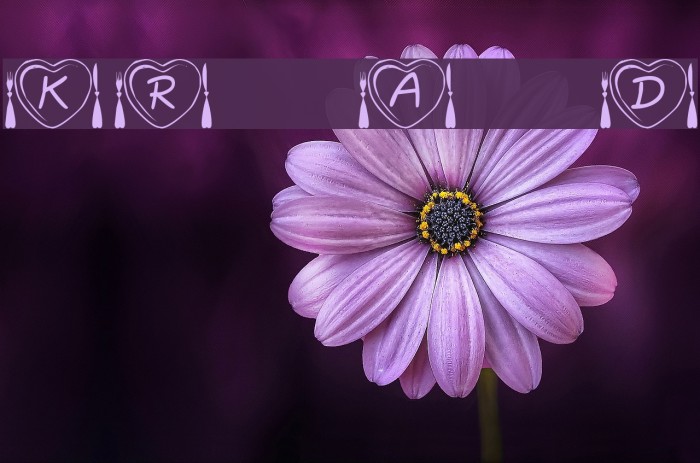 KR Anniversary Dinner Font examples