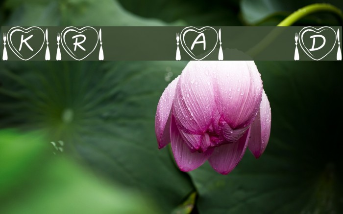 KR Anniversary Dinner Font examples