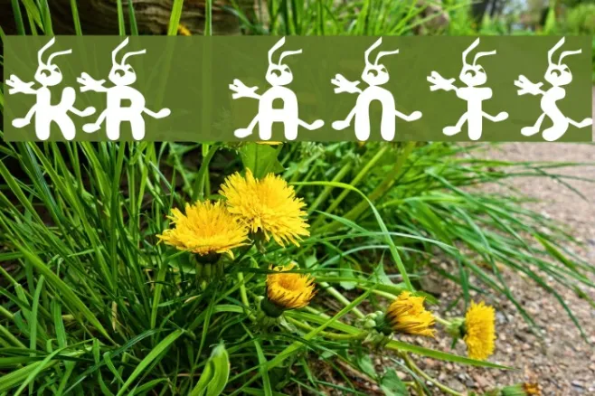KR Ants Example 2