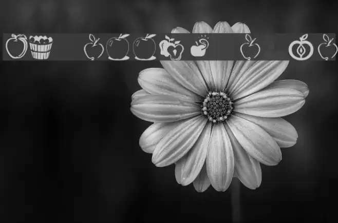 KR Apple A Day Font examples