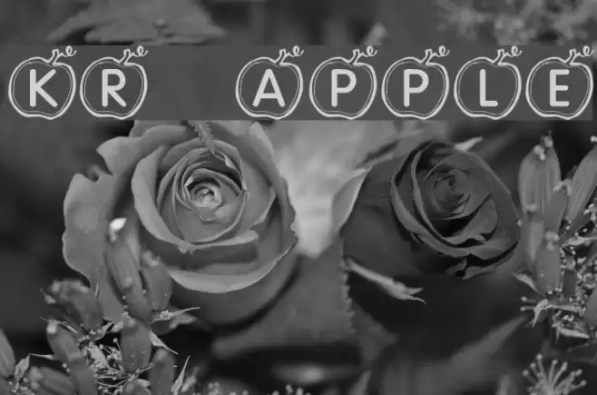 KR Apple Font examples