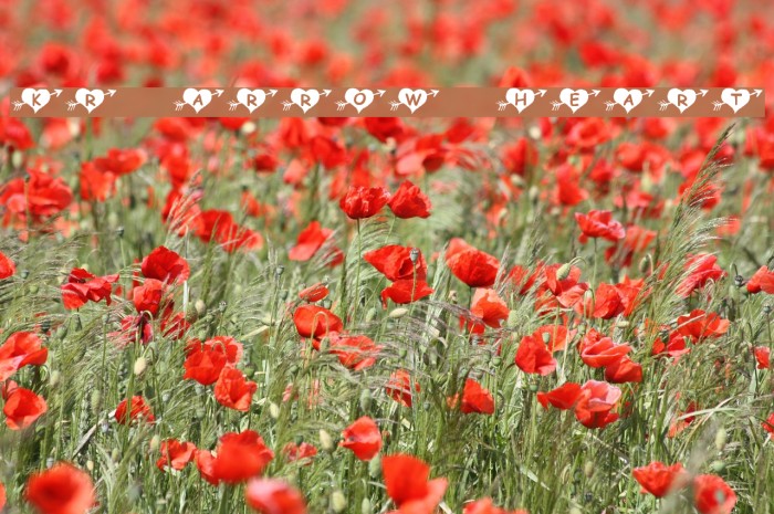 KR Arrow Heart Font examples