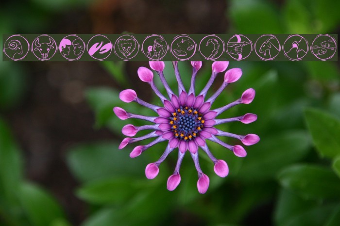 KR Astro 2 Example 3