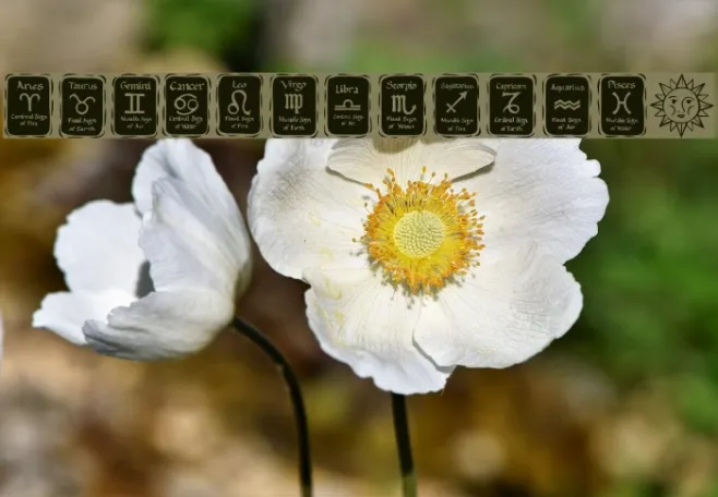 KR Astro 3 Example 1