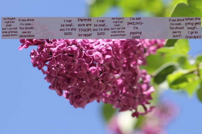 KR Babiez Two Example 1