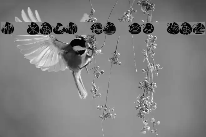 KR Back On The Farm Font examples