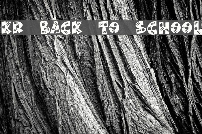 KR Back To School Font examples