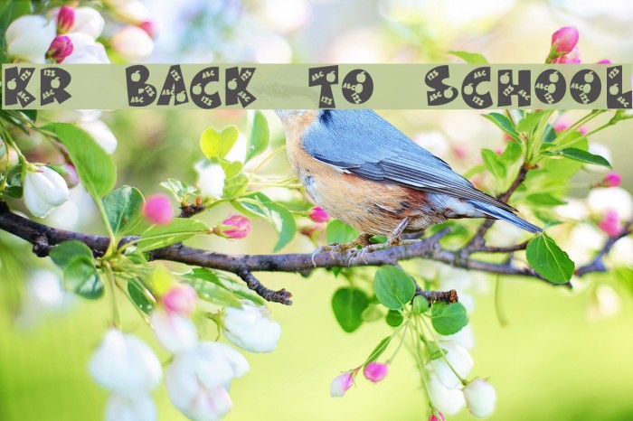 KR Back To School Example 2