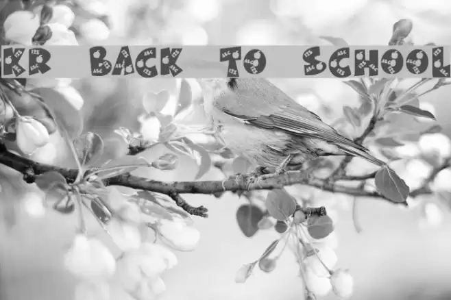 KR Back To School Font examples