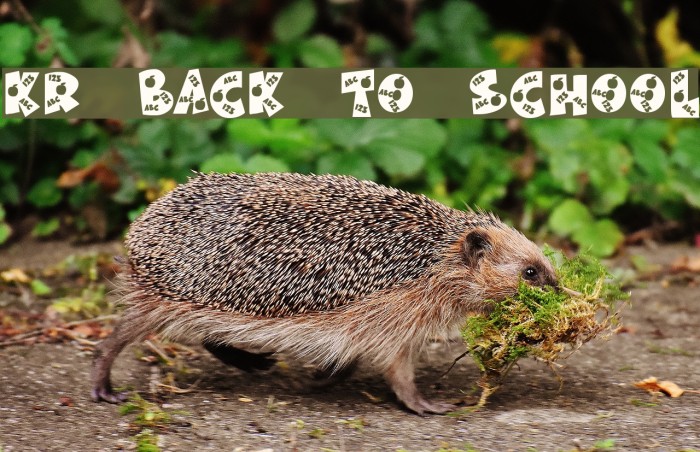 KR Back To School Example 3