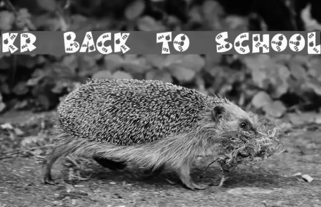 KR Back To School Font examples