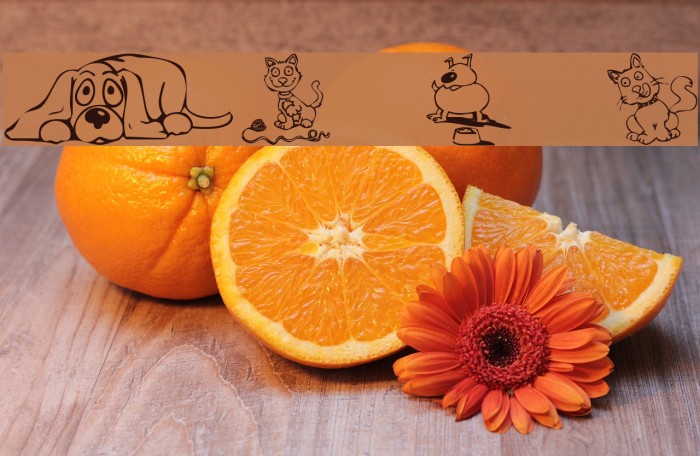 KR Backyard Scraps Example 3