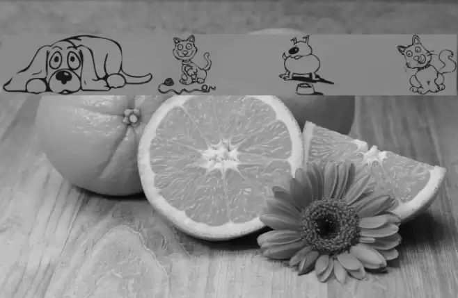 KR Backyard Scraps Font examples