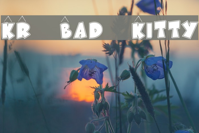 KR Bad Kitty Font examples