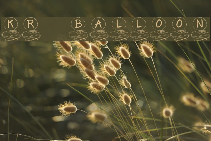 KR Balloon Font examples