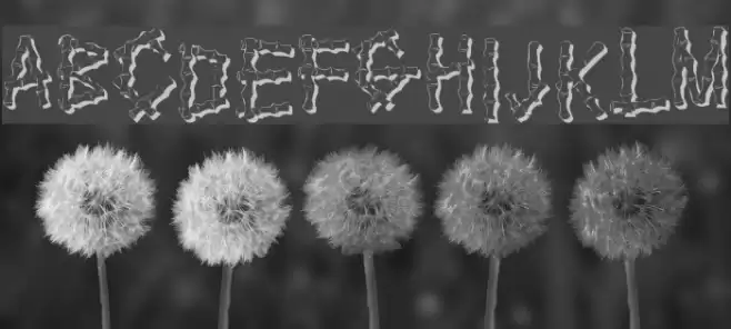 KR Bamboo Font examples