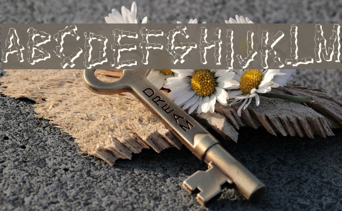 KR Bamboo Font examples