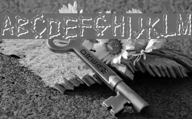 KR Bamboo Font examples