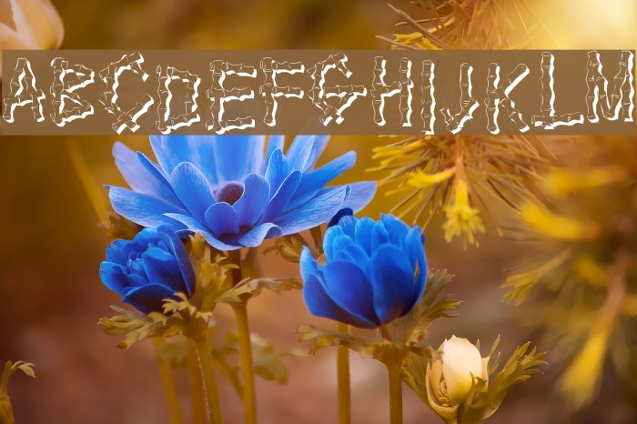KR Bamboo Font examples
