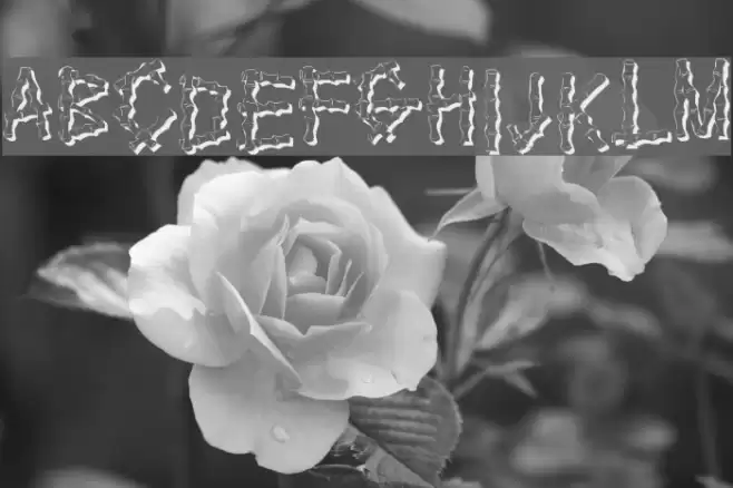 KR Bamboo Font examples