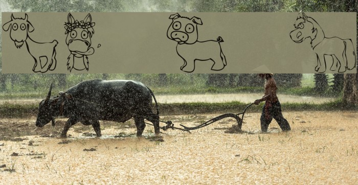 KR Barnyard Scraps Font examples