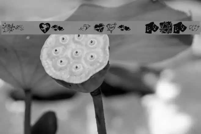 KR Be Mine Always Font examples