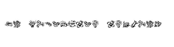 KR Beautiful Flowers 2 Font