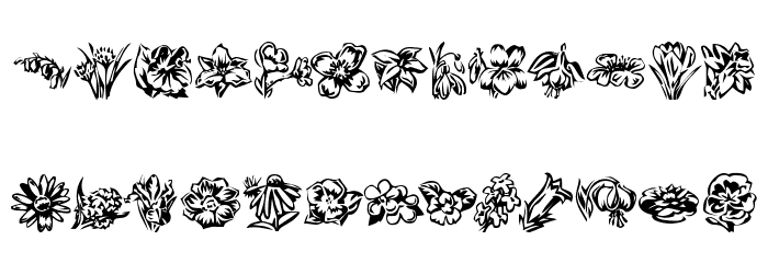 KR Beautiful Flowers 2 Font OTHER CHARS