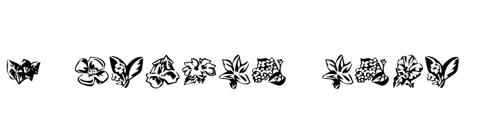 KR Beautiful Flowers 3 Font