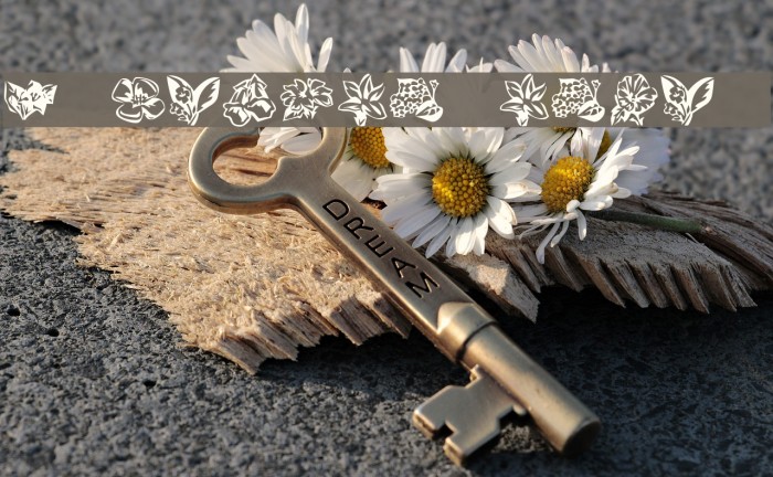 KR Beautiful Flowers 3 Font examples