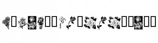 KR Beautiful Flowers  font caratteri gratis