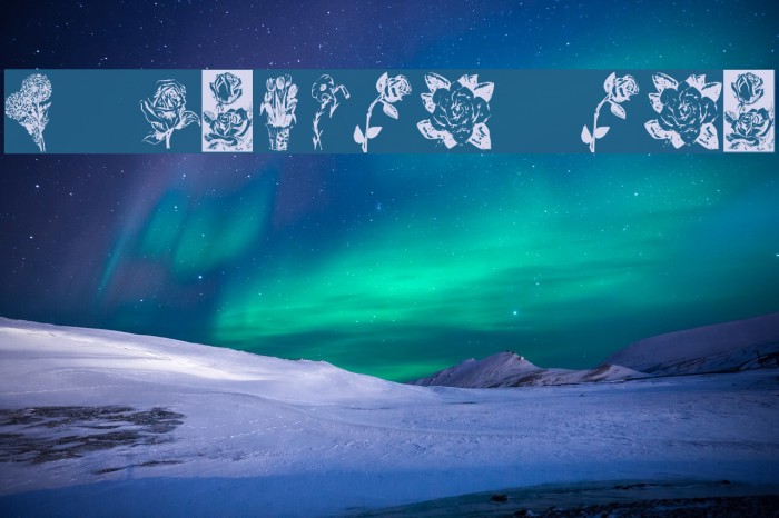 KR Beautiful Flowers Font examples