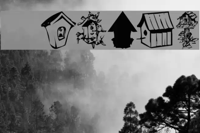 KR Birdhouse Font examples