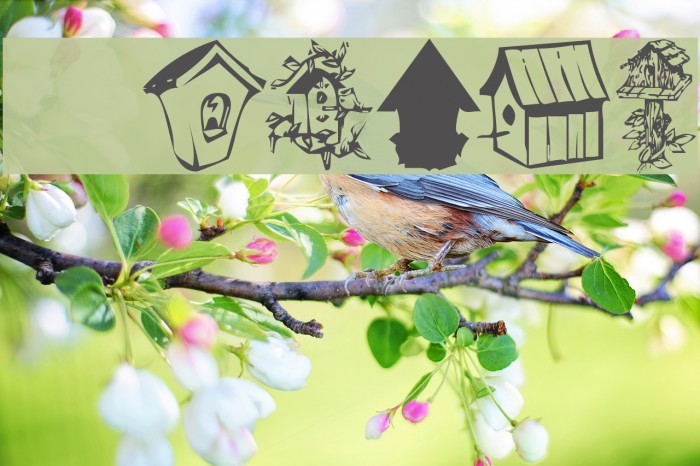 KR Birdhouse Example 3