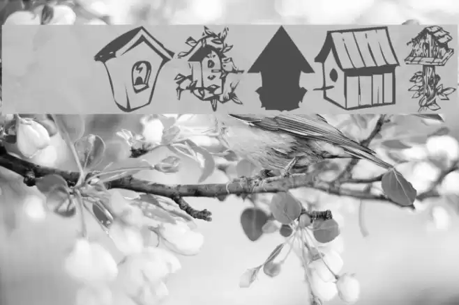 KR Birdhouse Font examples