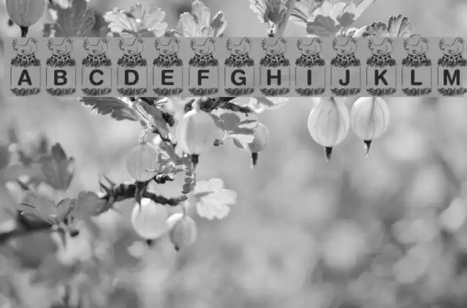 KR Birdy Font examples